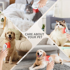 Hottoerak pet-friendly red light therapy scene promoting pet comfort.