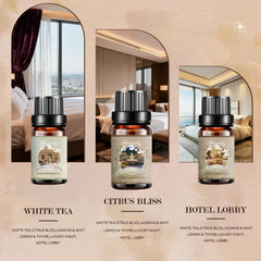 Hovacota Hotel Lobby scent in diffuser creates inviting ambience.