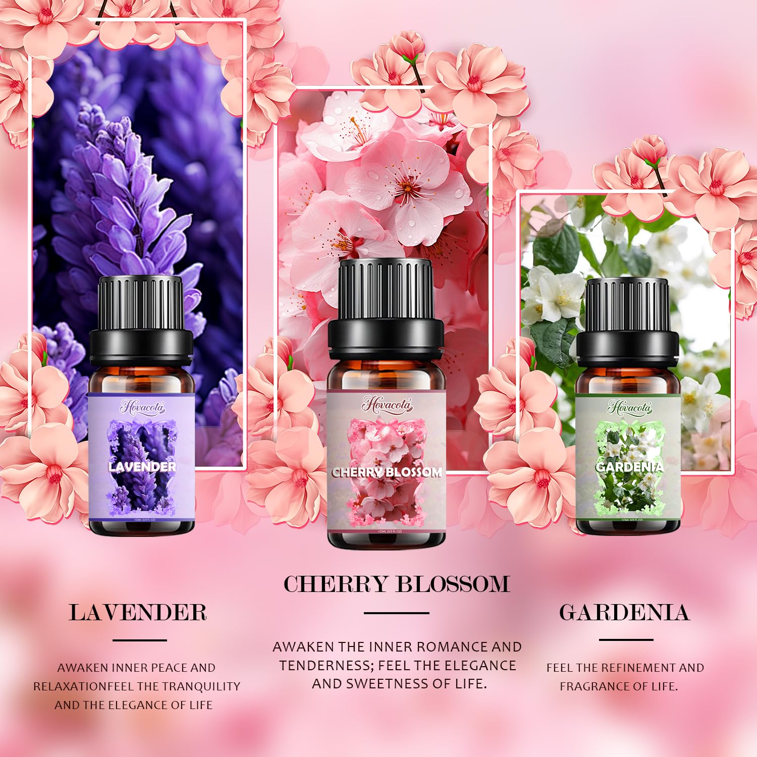 Hovacota Lavender oil bottle delivering relaxing scent for home diffusion
