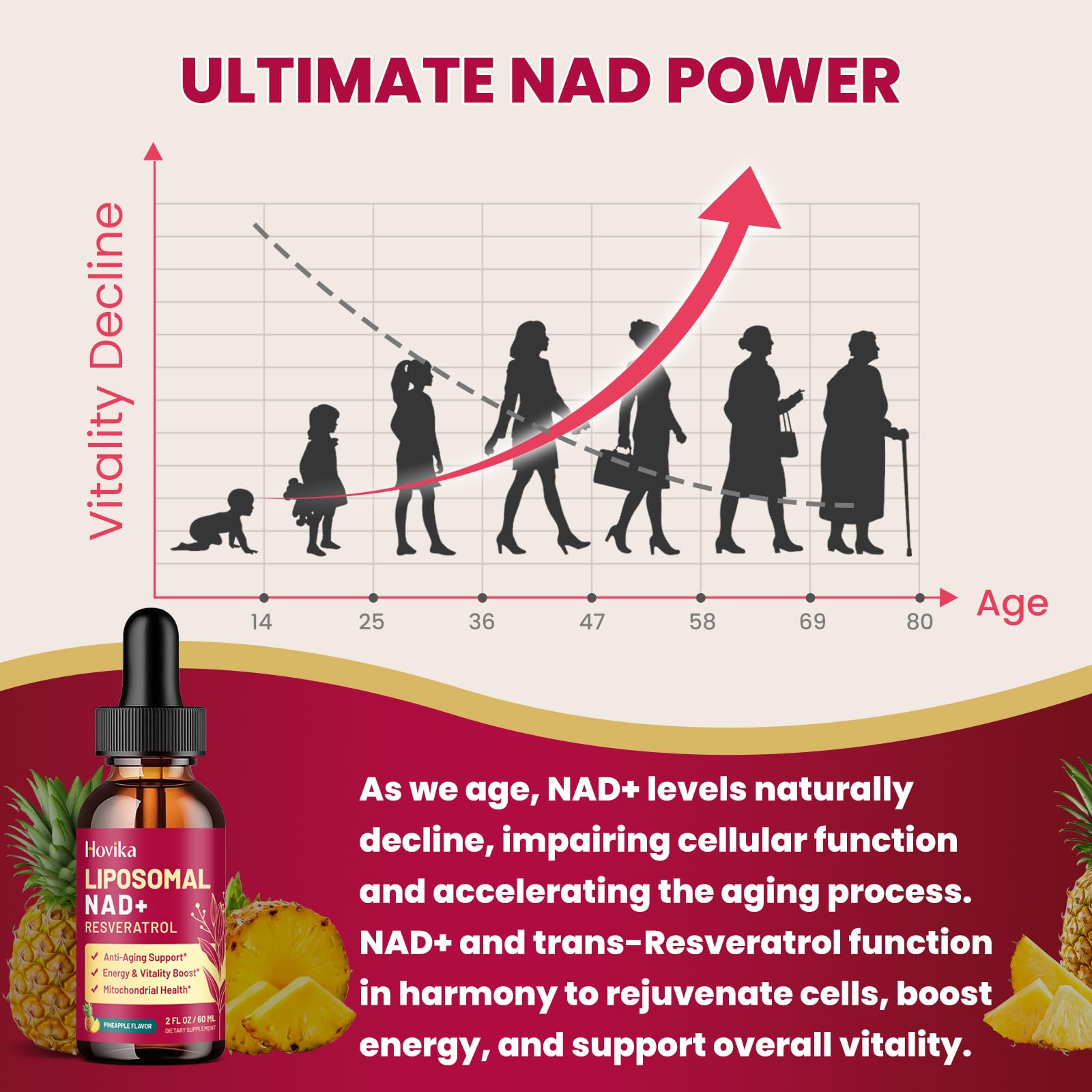 Hovika NAD ingredients graphic references pathways and mitochondria.