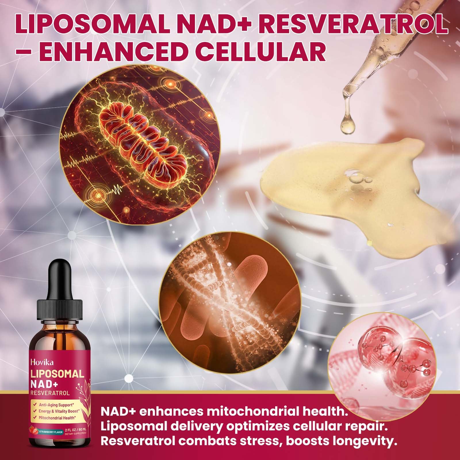 Hovika liposome-technology visuals suggesting enhanced absorption