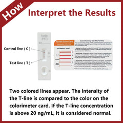 H.pylori test kit with drops and buffer ready for use.