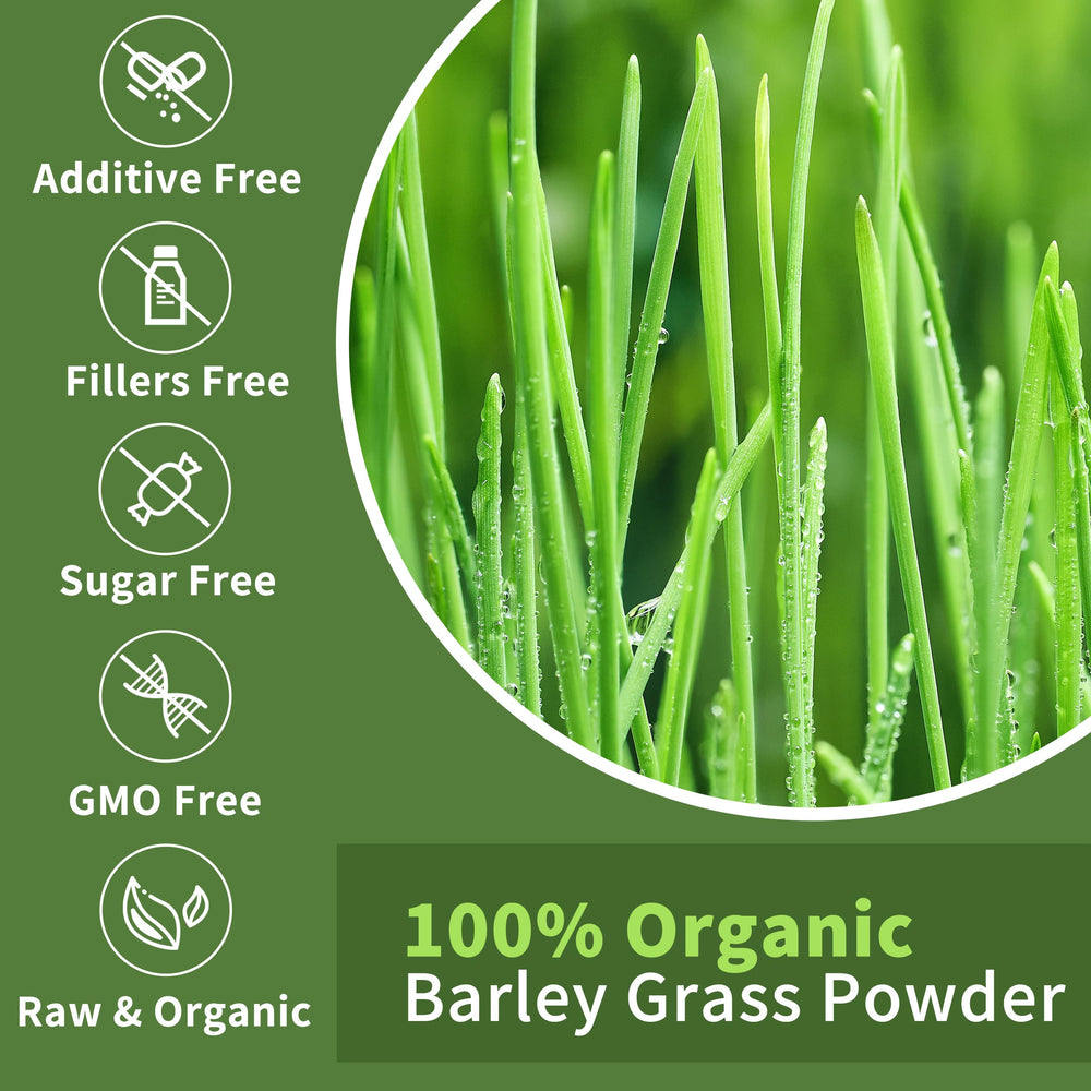 Hudetex Barley Grass Powder bottle label showcasing premium quality.