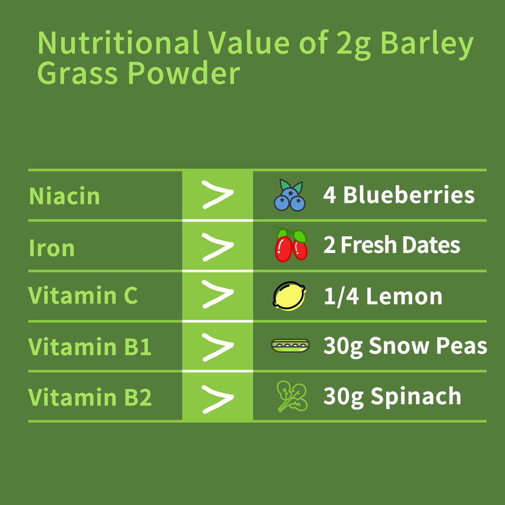 Hudetex Barley Grass Powder smoothie with bright green color.