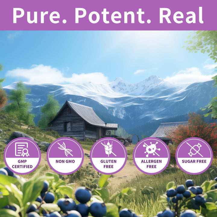 Hudetex Blueberry Lutein Gummies closeup shows soft texture for easy chewing