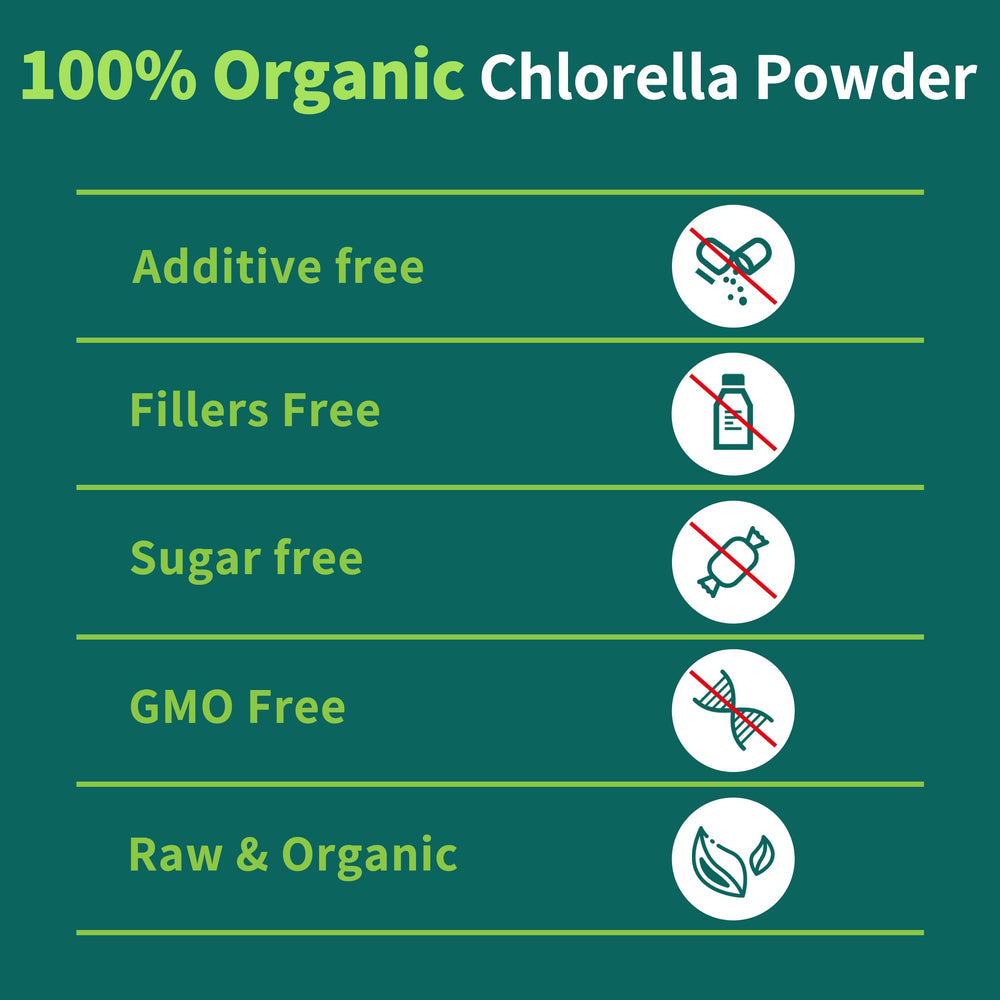 Close-up of disrupted chlorella texture signaling high nutrient density