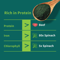 Hudetex Chlorella Powder label closeup highlighting quality and testing
