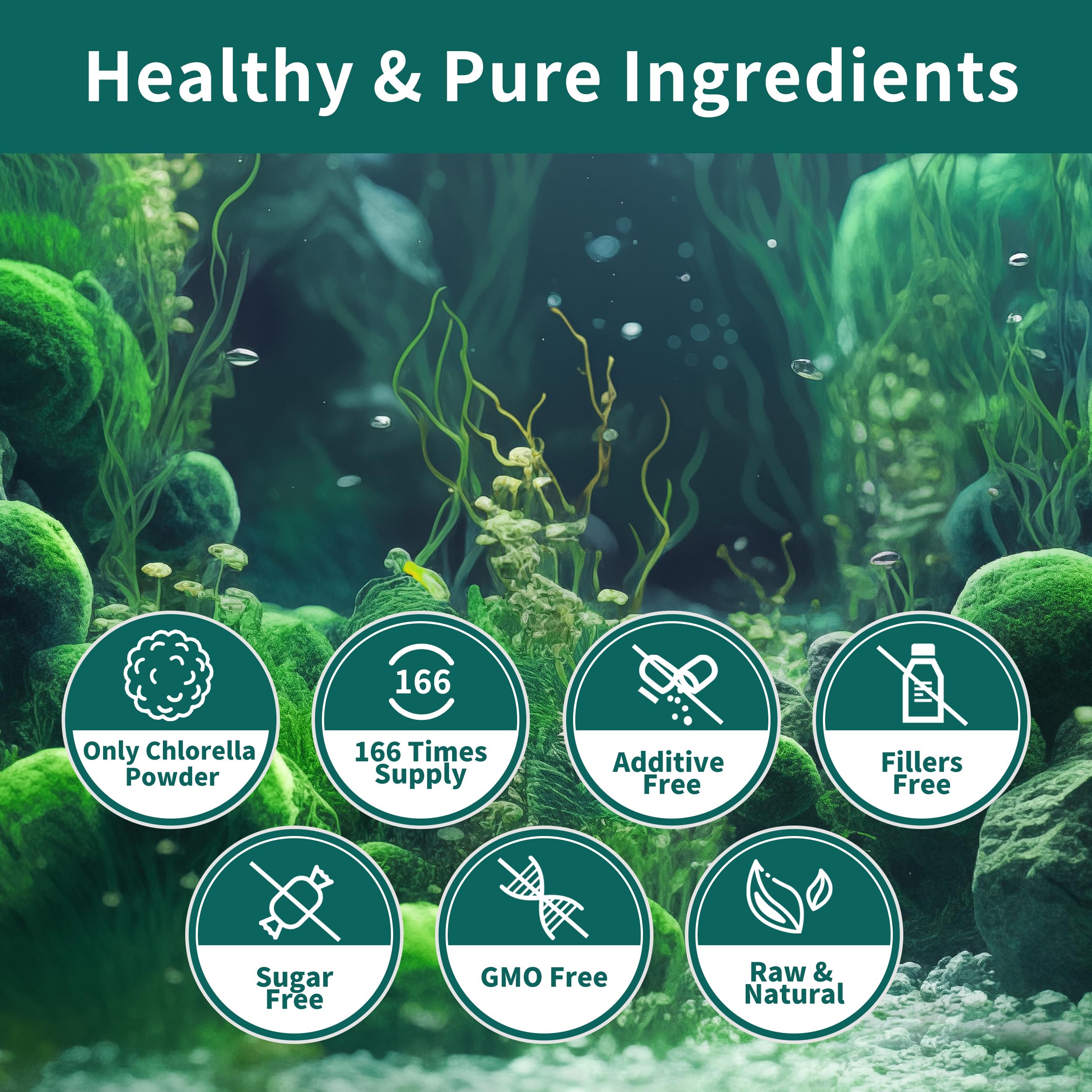 Hudetex chlorella powder scoop measuring tool showcases user-friendly serving sizes.