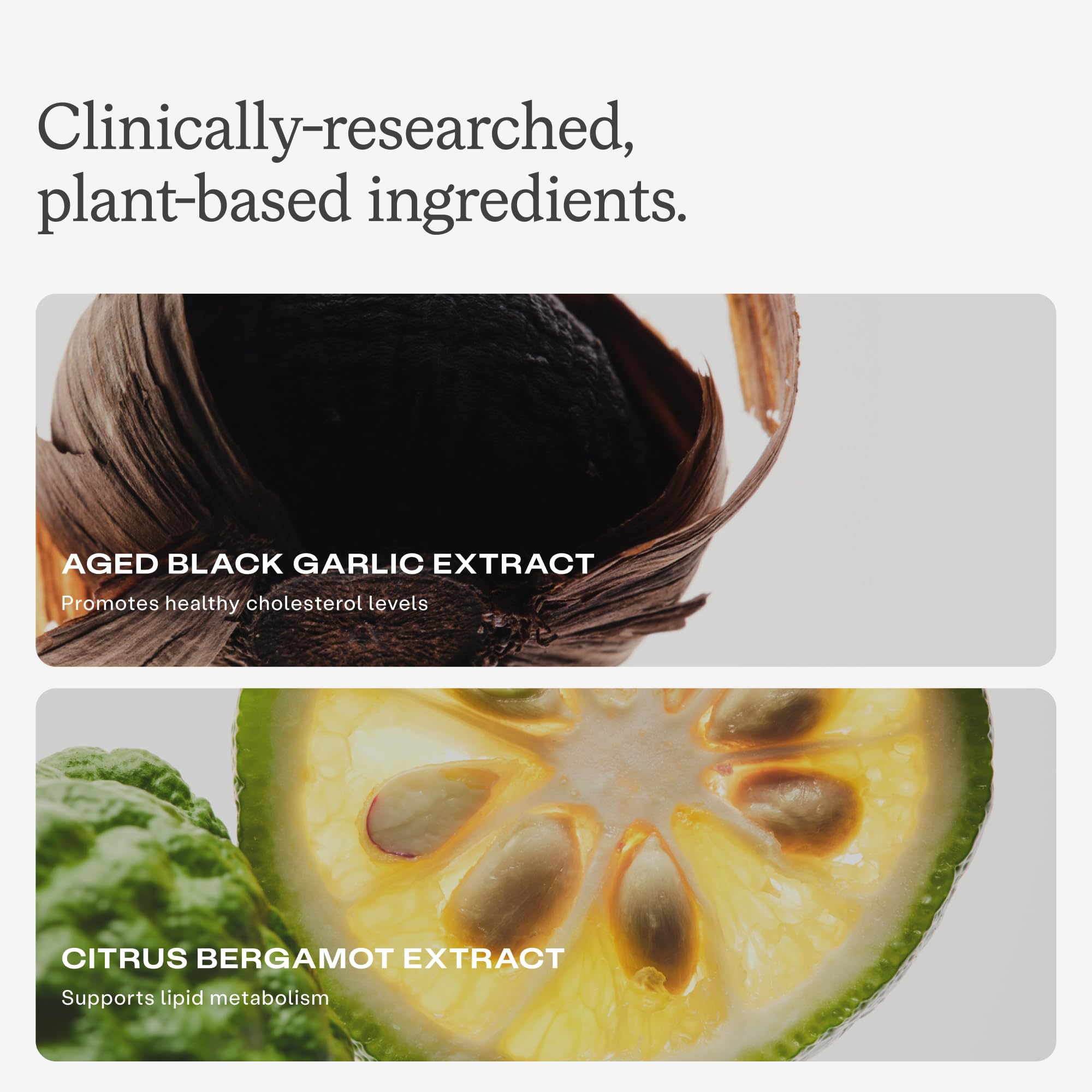 Humann aged black garlic with sulfur compounds shown for triglyceride balance