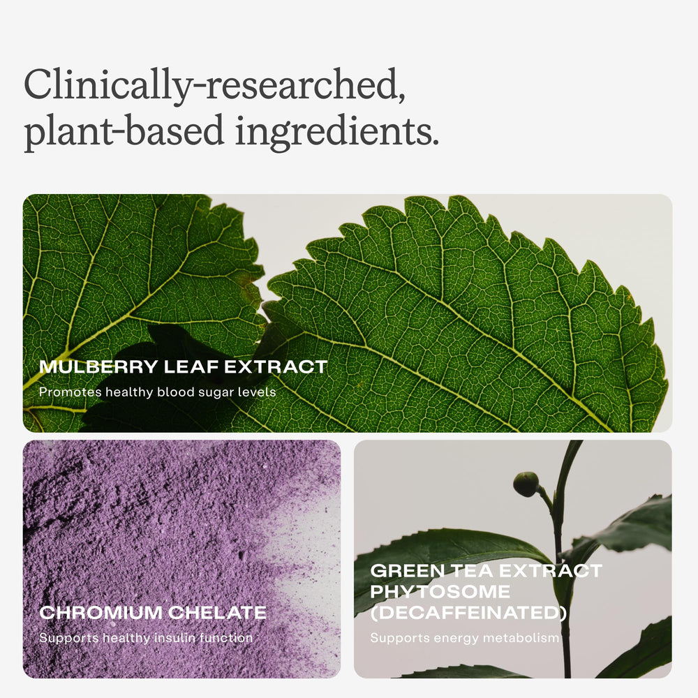 Humann Green Tea Phytosome close-up, antioxidant support for metabolism