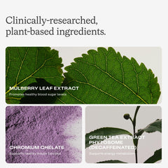 Humann Green Tea Phytosome close-up, antioxidant support for metabolism