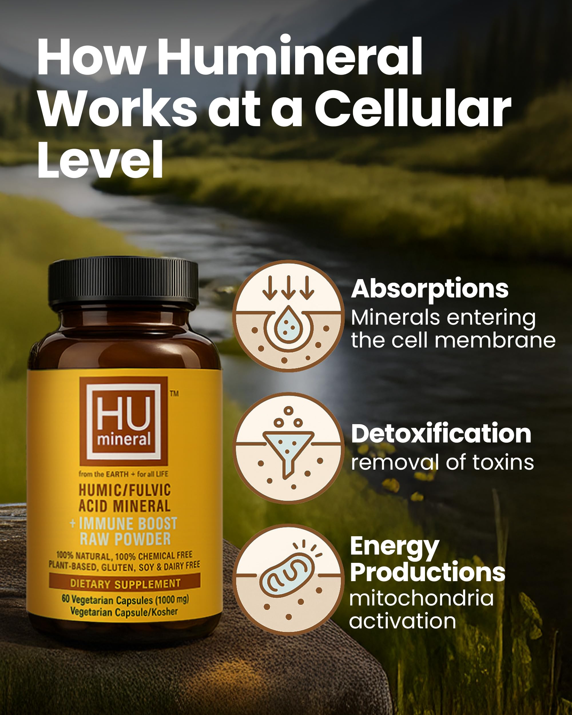 HUmineral origin from ancient plant deposits emphasizing natural source.