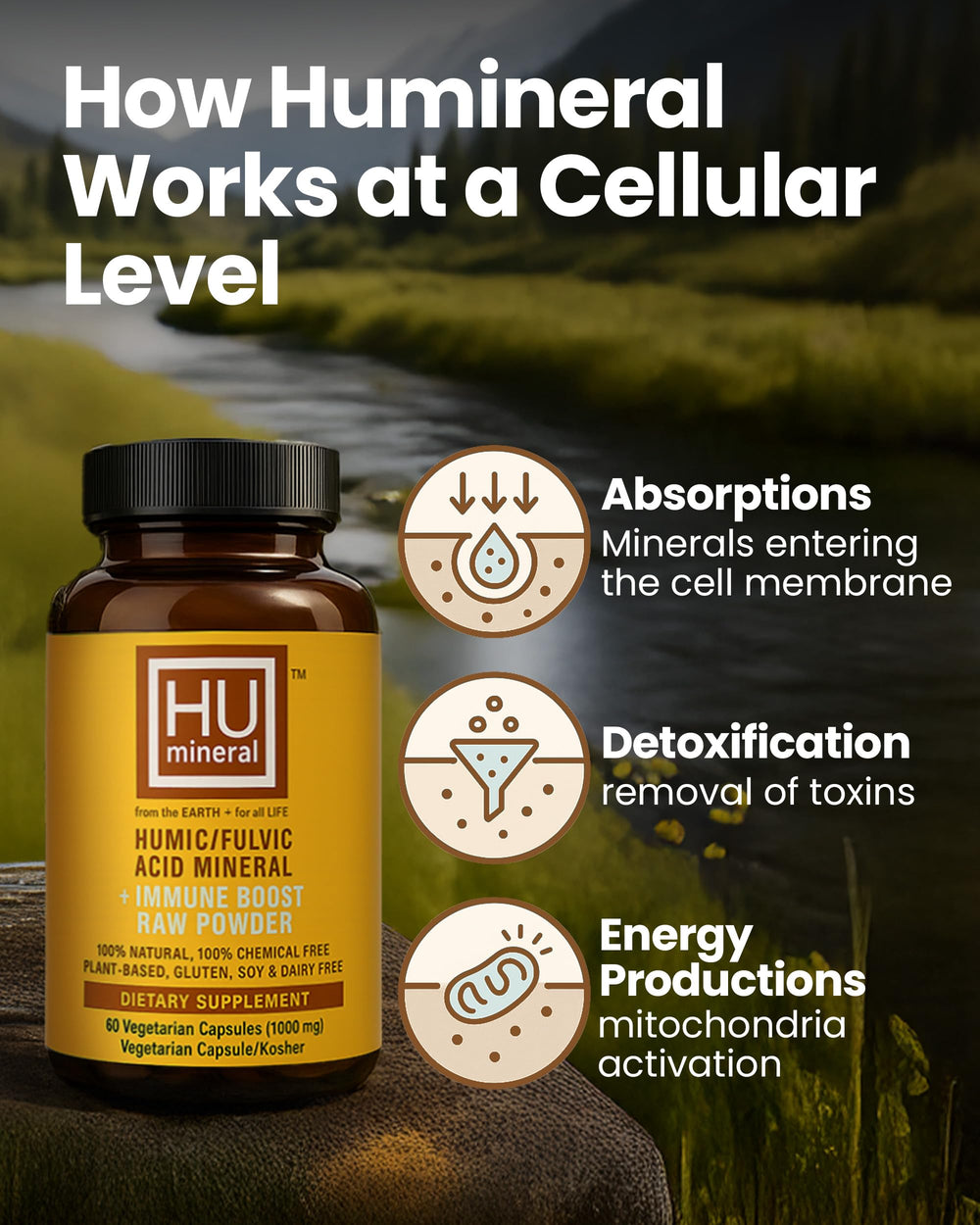 HUmineral origin from ancient plant deposits emphasizing natural source.