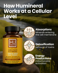 HUmineral origin from ancient plant deposits emphasizing natural source.