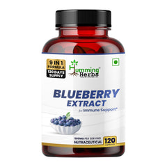 Humming Herbs Blueberry & Bilberry Extract bottle with 610 mg formula for daily eye support.