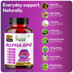 Humming Herbs Ginkgo Biloba extract bottle with 24% flavonoids.