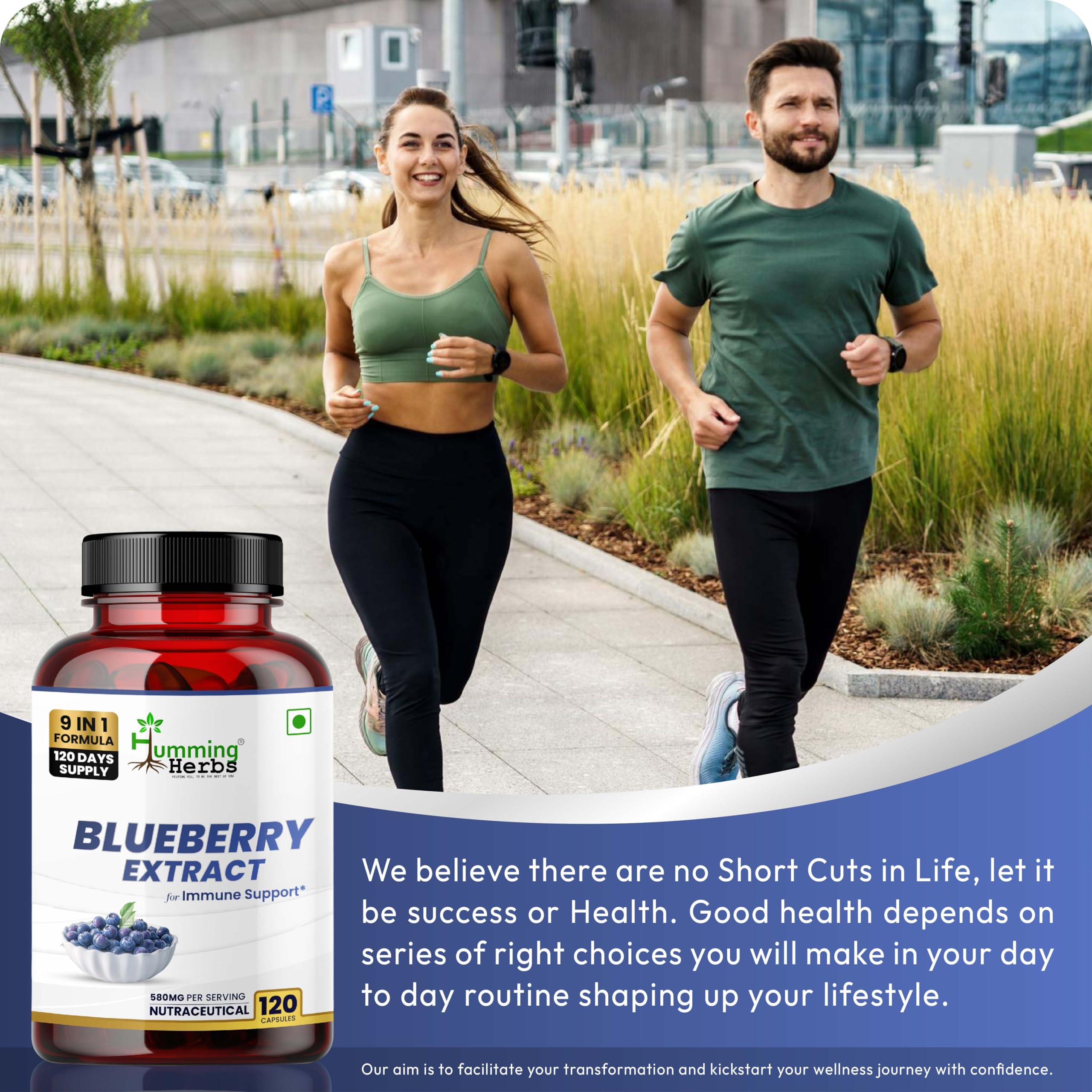 Humming Herbs vitamins C and E icons with zinc for immune and antioxidant support.