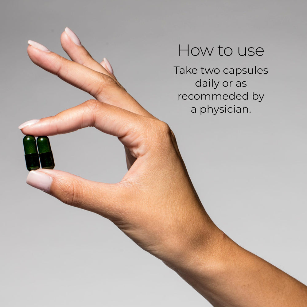 Hush & Hush ShieldUp matcha leaf extract showcase for alertness support.