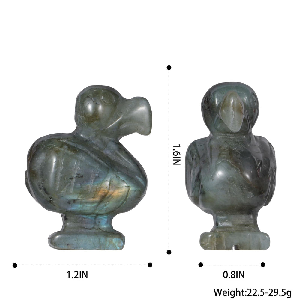 Hxswkk Labradorite dodo bird detail, enhances shelf aesthetics and crystal collection.