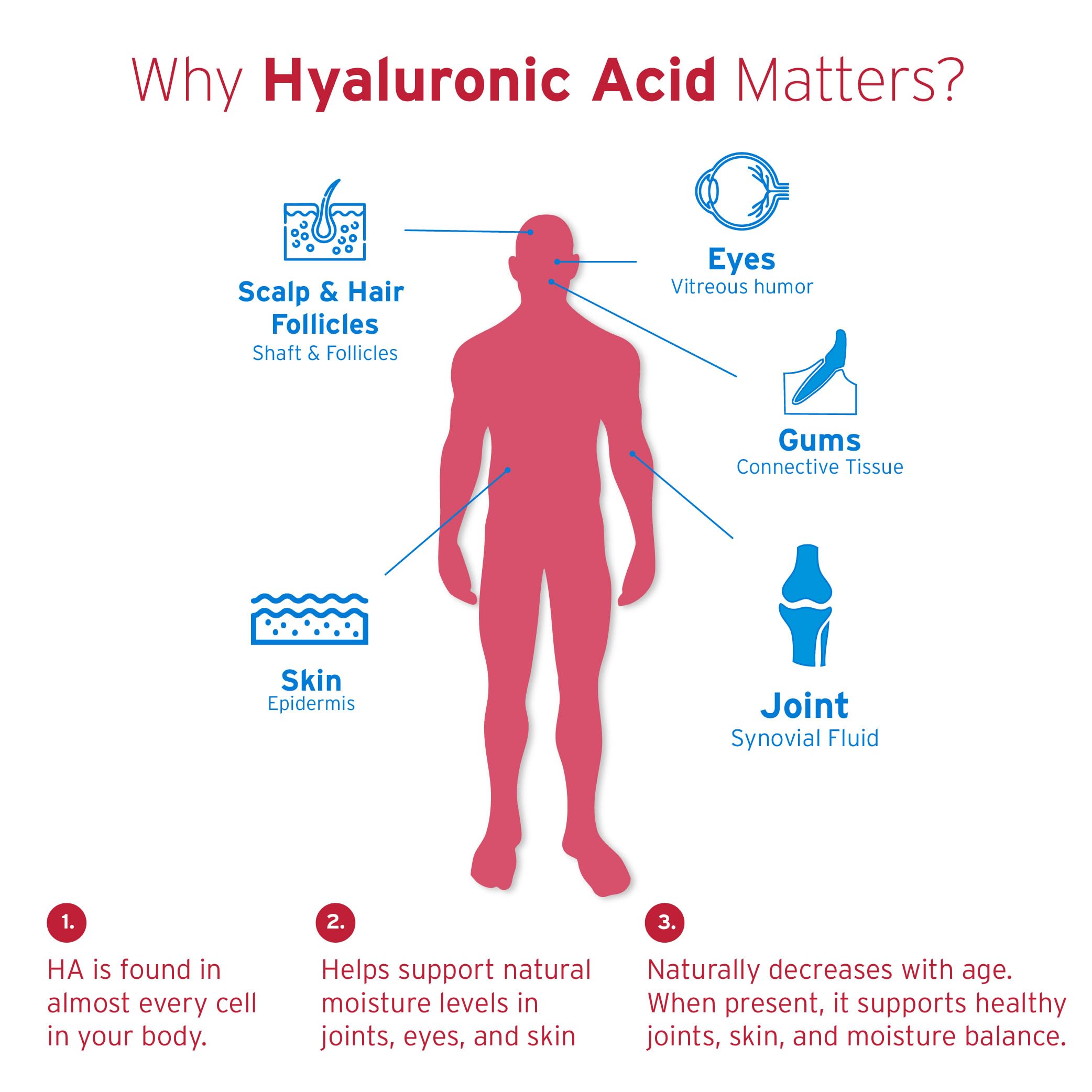 Hyalogic Berry-flavored chewable melts in mouth for effortless daily routine