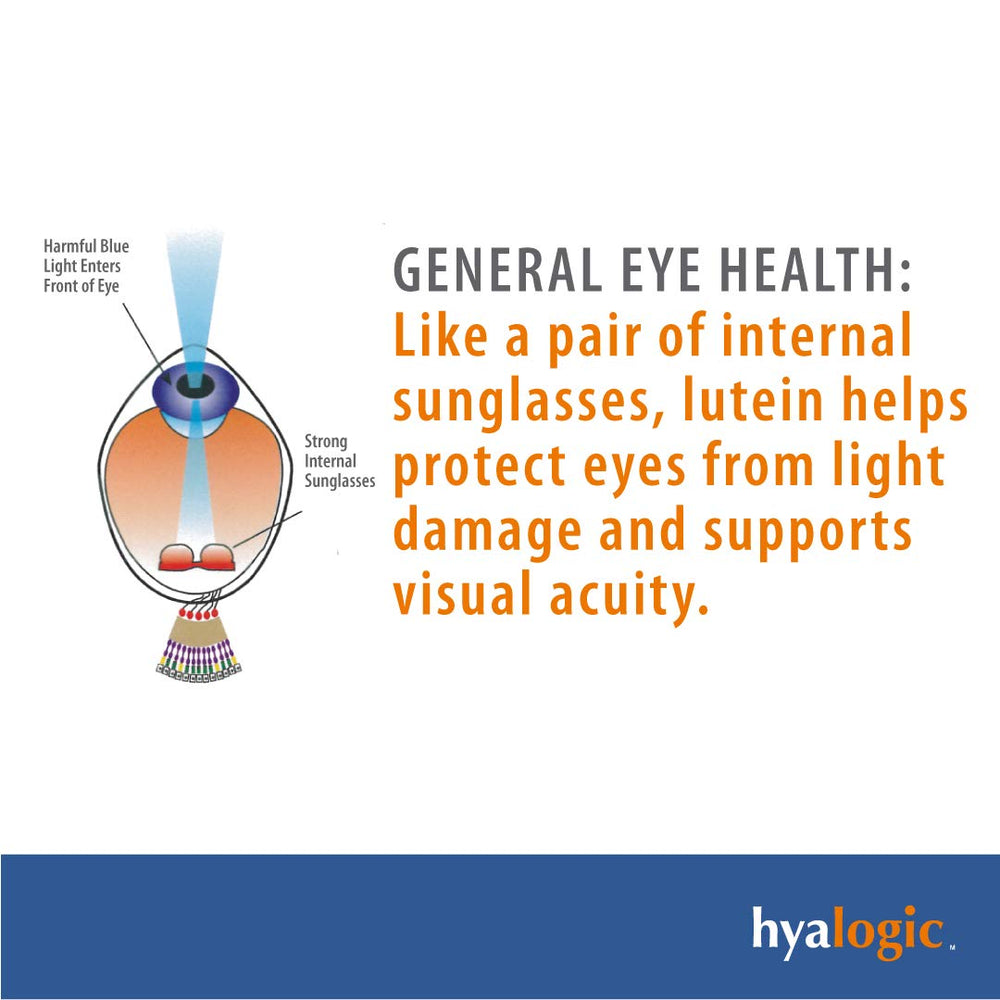 HylaVision capsule detail suggests smooth texture for everyday routine.