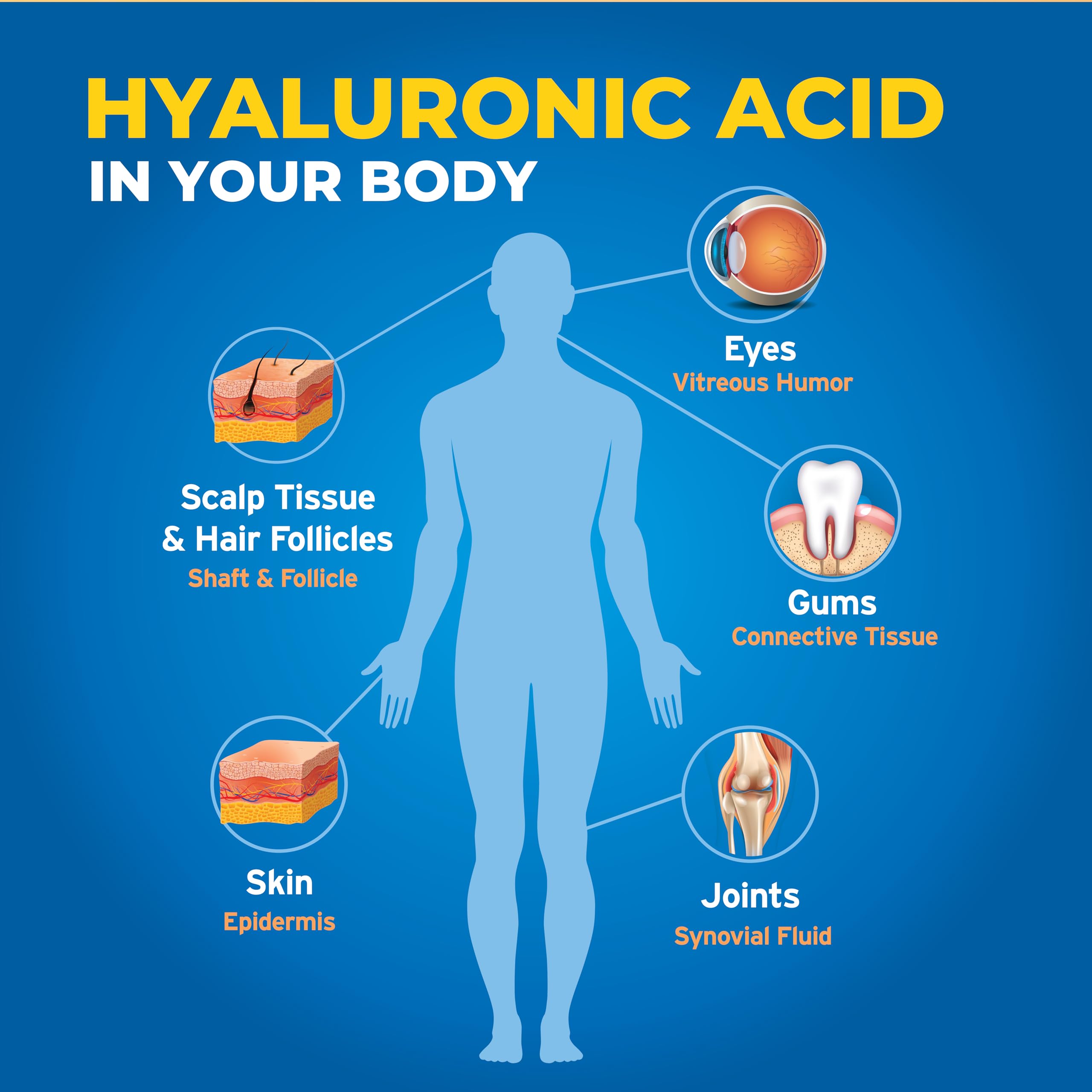 Hyalogic Synthovial Seven ingredients highlight fermentation-derived HA