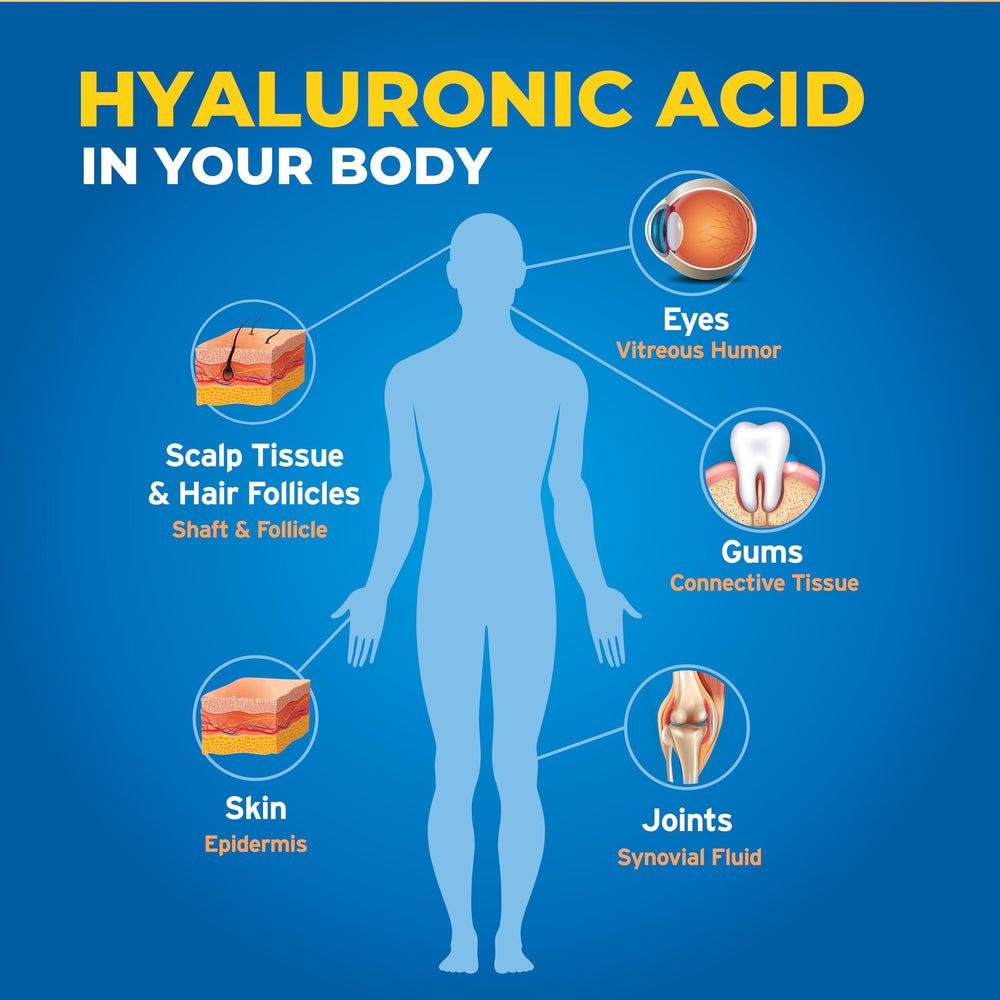 Hyalogic Synthovial Seven ingredients highlight fermentation-derived HA