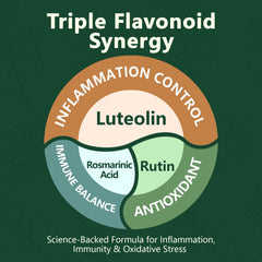 HyberVive Luteolin ingredients list highlighting luteolin and rutin