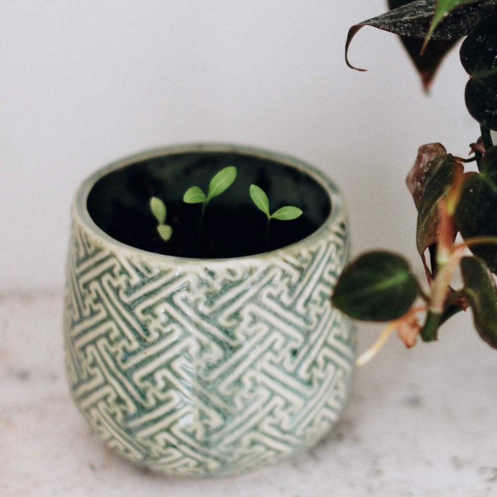 Hyggelight 10oz green ceramic container adds style and practicality.