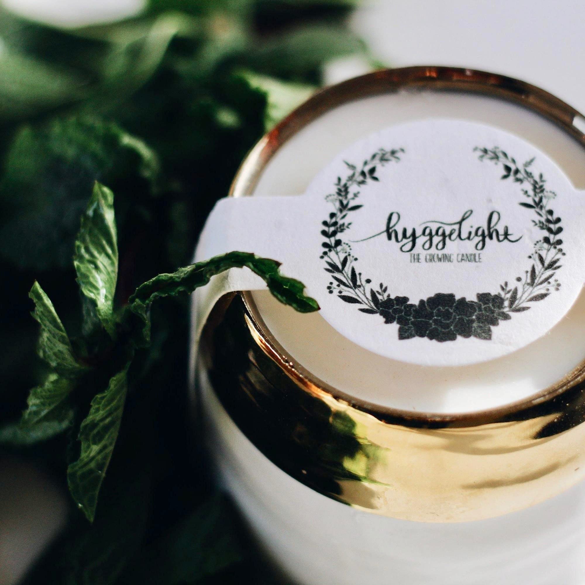 Hyggelight mint eucalyptus candle packaged for gifting and display