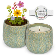 Hyggelight growing candle with chai scent creates a warm, inviting ambiance.