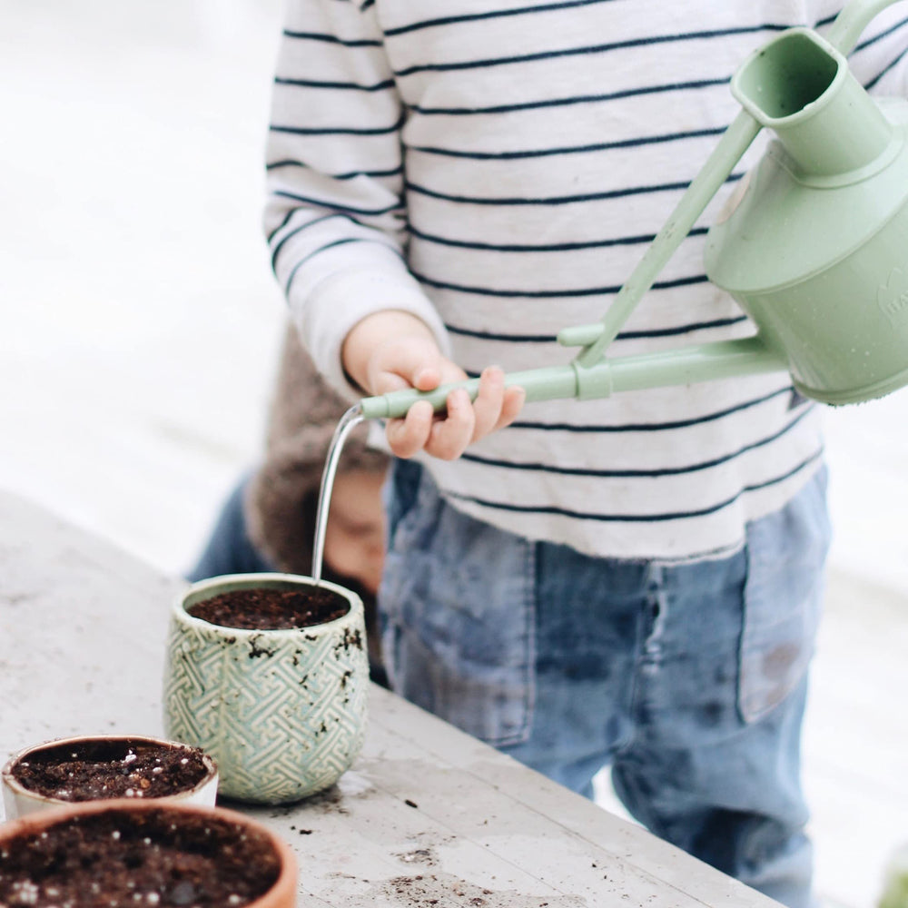 Hyggelight reusable pot supports sustainable decor and gardening.