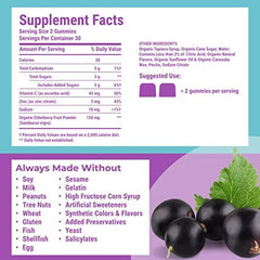 Hyland's Organic Elderberry Plus Gummies label-detail highlights zinc and vitamin C benefits for adults.