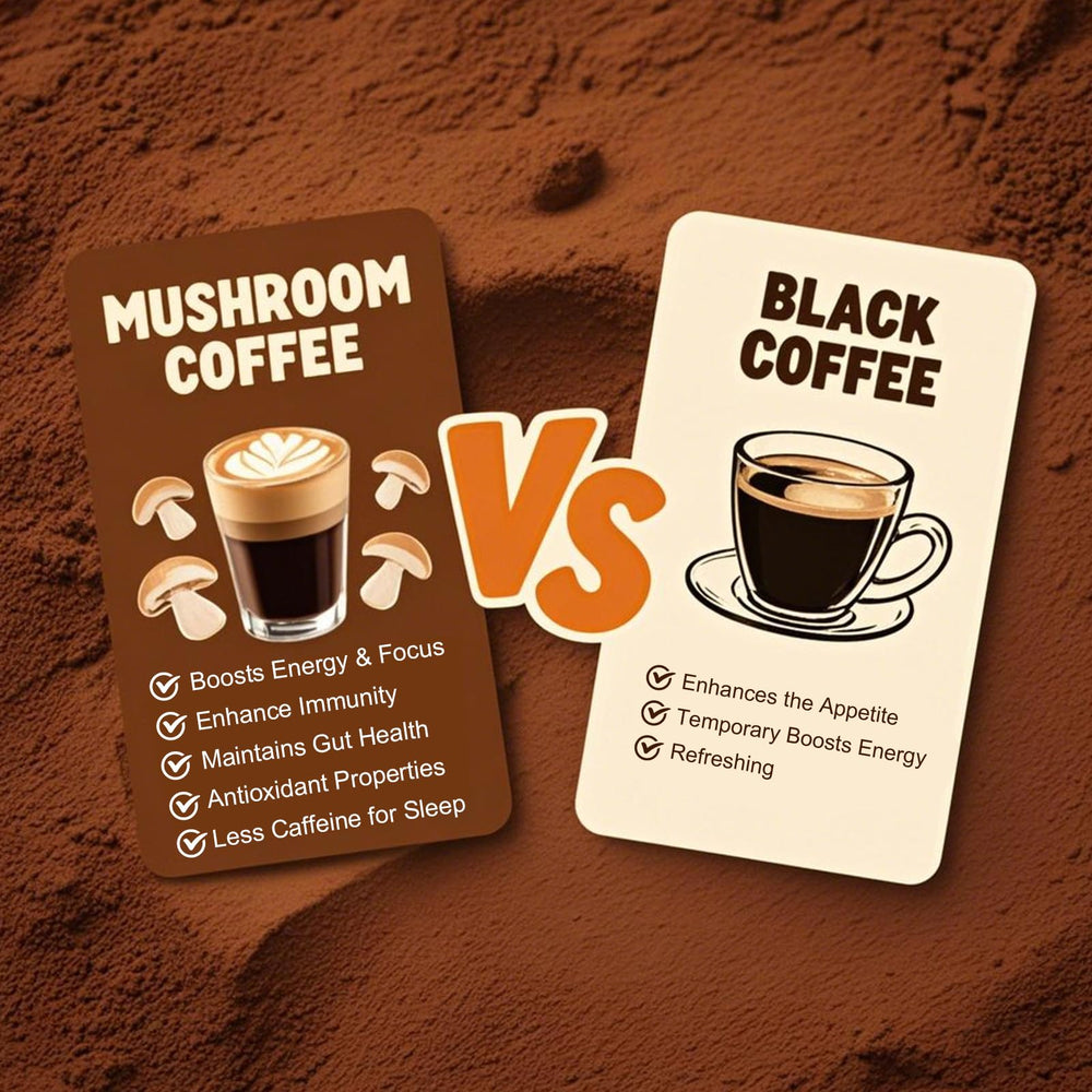 IBetIt Organic Mushroom Coffee visual 6 highlighting six mushrooms and premium ingredients