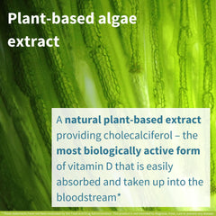 Igennus algae-based D3 close-up emphasizes plant-derived cholecalciferol.