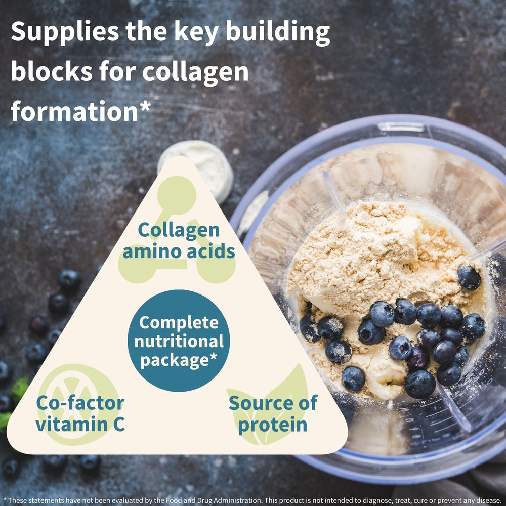 Close-up of PlantProColl blend symbolizing the amino acid profile.