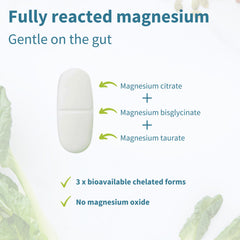 Igennus magnesium triple ingredients panel with zinc-free clean label.