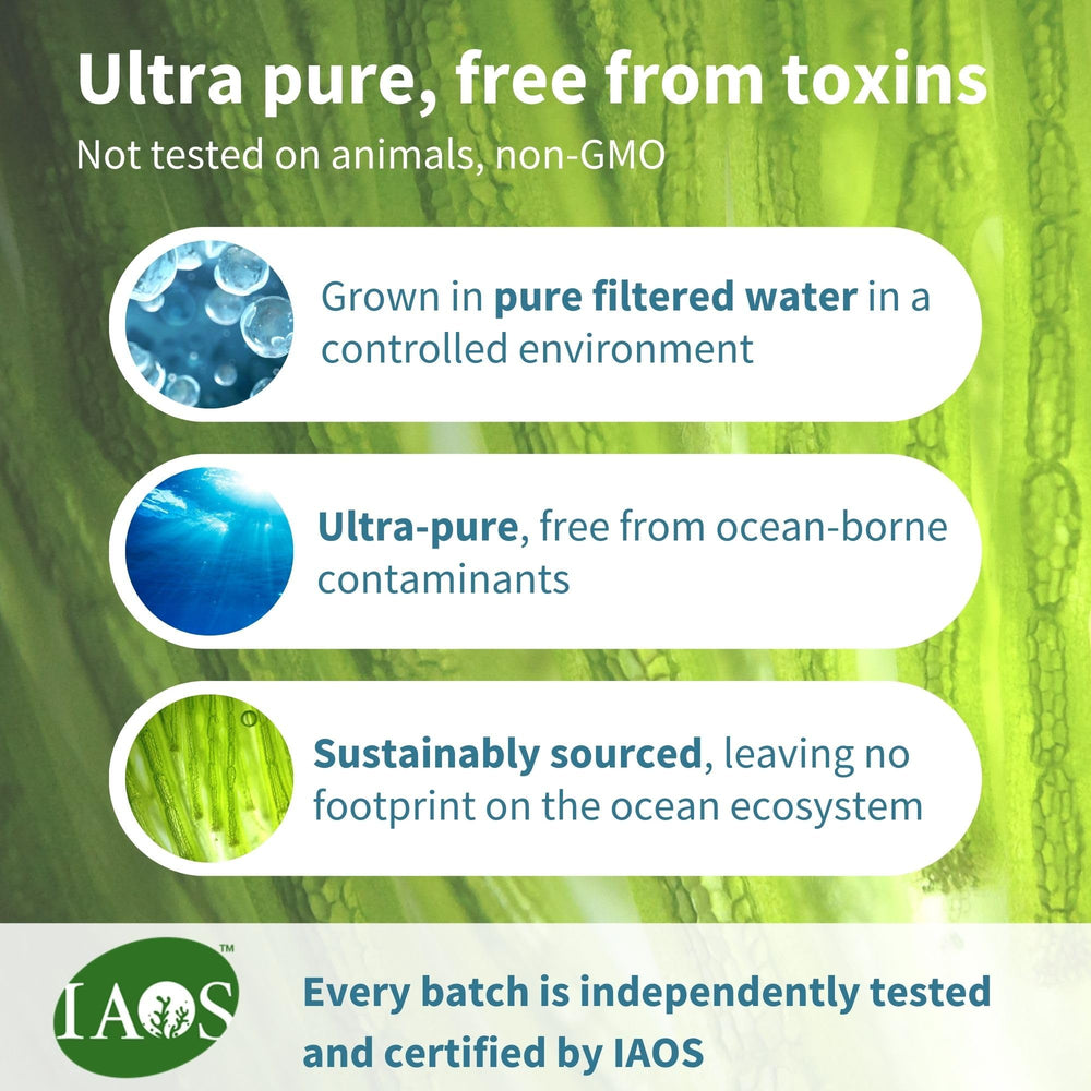 Igennus Vegan Omega-3 algae oil serving banner shows 2:1 DHA:EPA ratio.