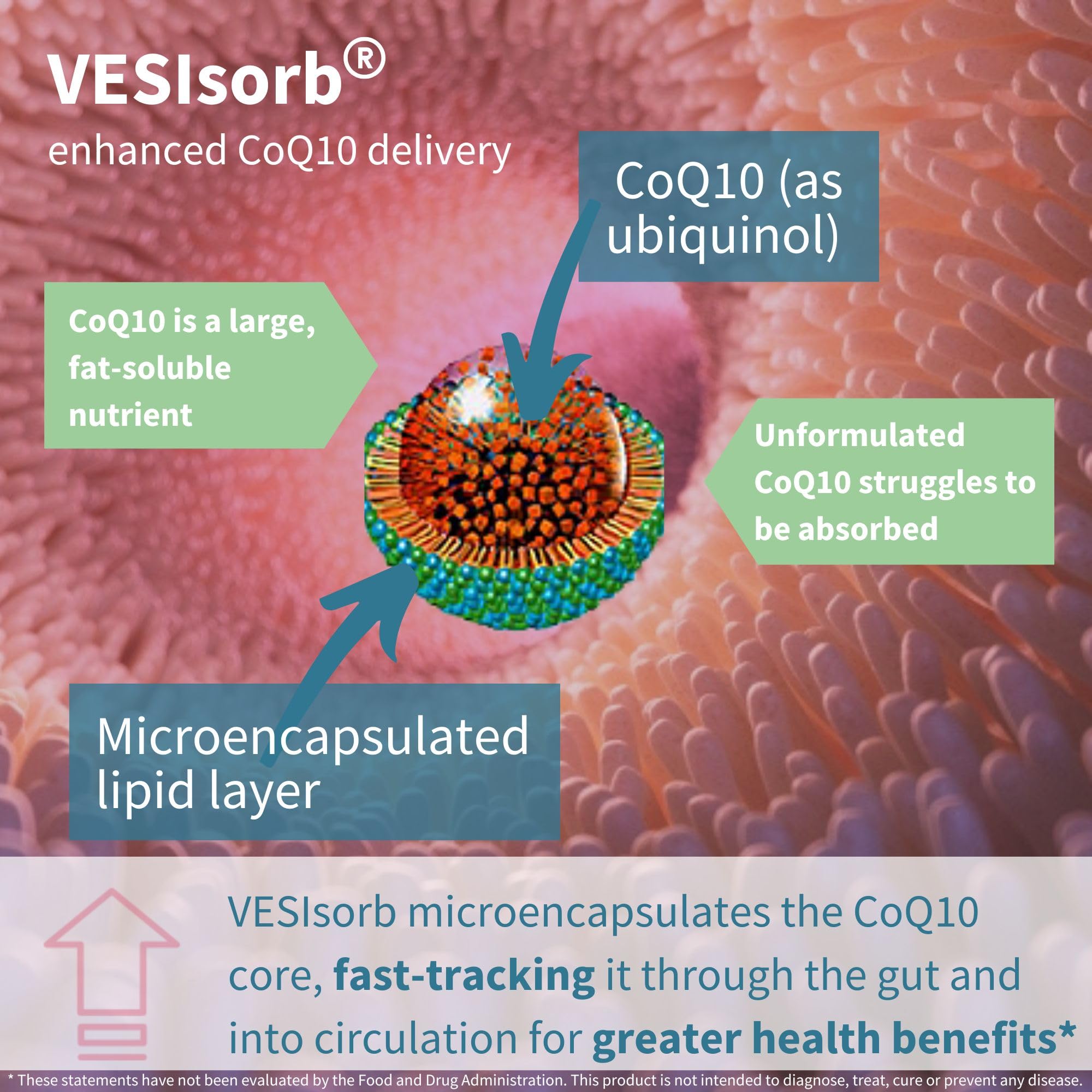 VESIsorb delivery technology visual indicating enhanced absorption