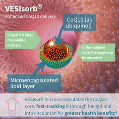 VESIsorb delivery technology visual indicating enhanced absorption