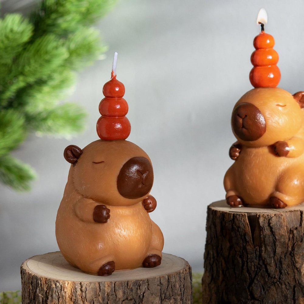 iLikePar Capybara candle gift box ready for celebrations.