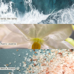 Illume alcohol-free diffuser label emphasizes clean, non-alcohol formula