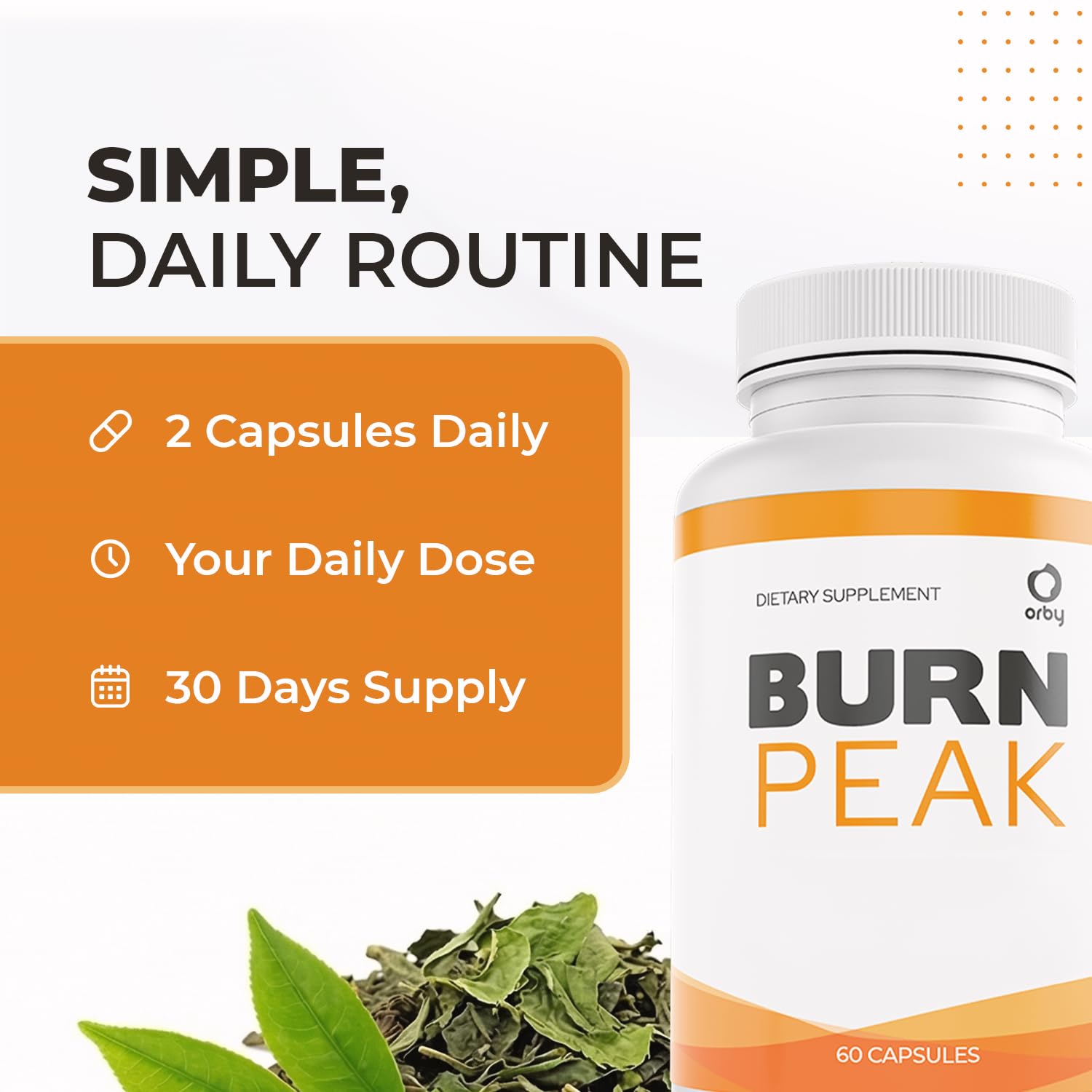 Orby BurnPeak – 100% Natural Apple Cider Vinegar, Ginger & Green Tea Capsule Formula – Non-GMO, Made in USA, 60 Capsules