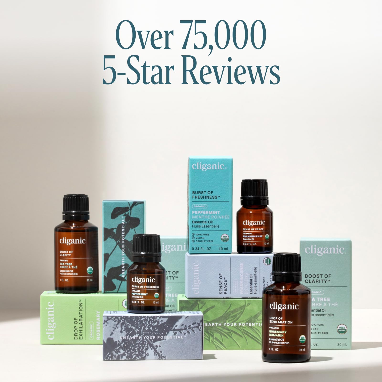 Cliganic Huile Eucalyptus – Pureté 100%, Biologique, Non-OGM | Pour Diffuseur Aromathérapie (Emballage Variable)