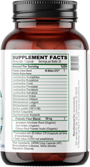 ImmuneBody label close-up highlighting 13 strains for gut balance.