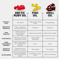 Immunocorp Arctic Ruby Oil label-detail highlighting sustainable sourcing.