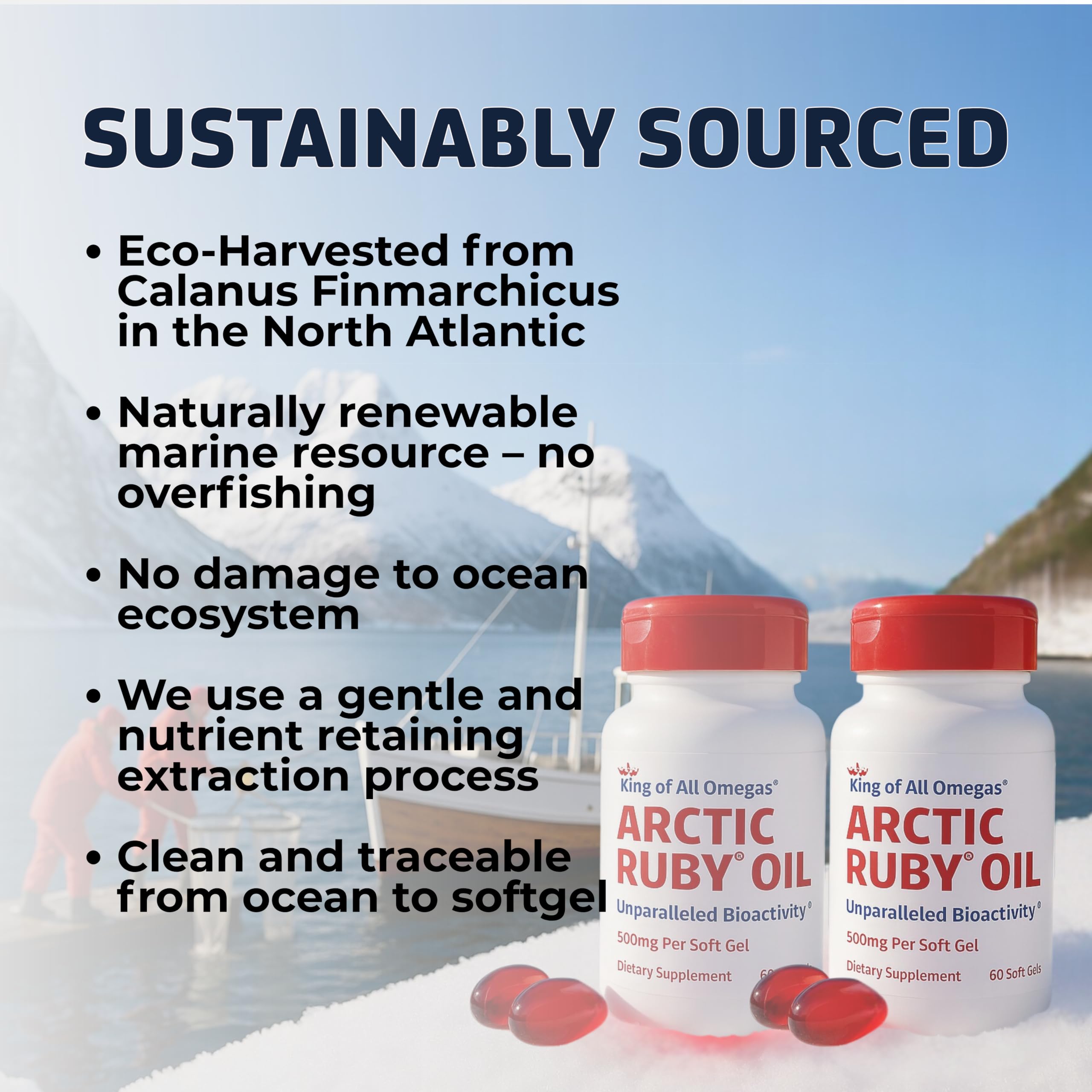 Immunocorp Arctic Ruby Oil ocean-origin concept art emphasizing omega-3 benefits.