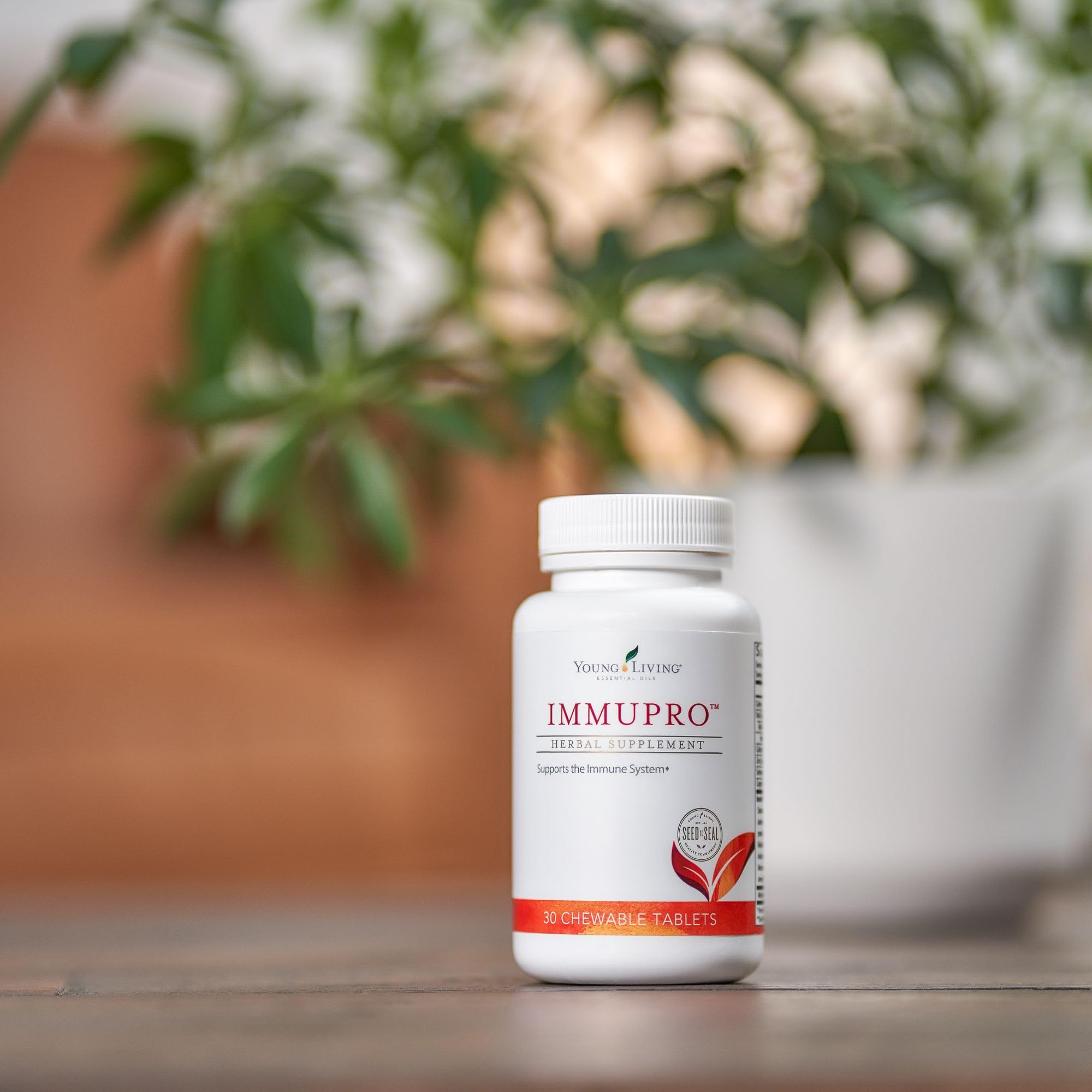 ImmuPro bottle on desk suggesting easy daily wellness habit