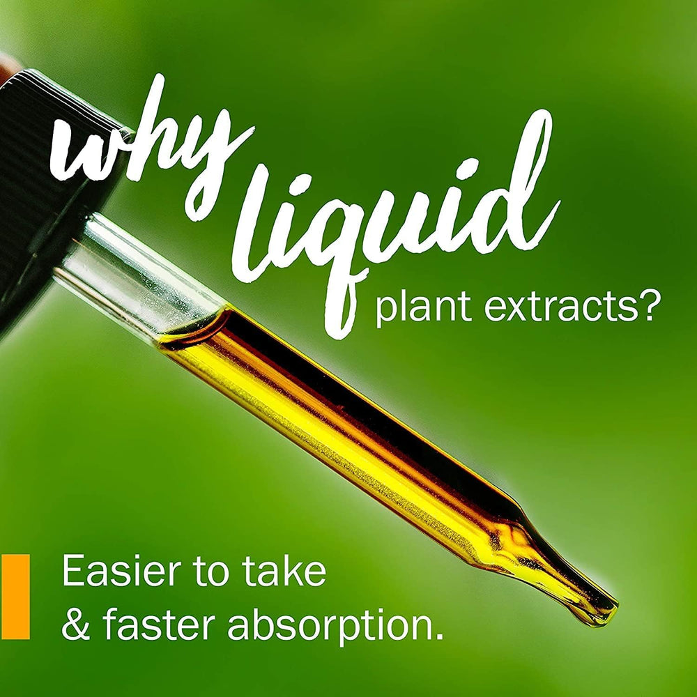 INDIROOT Horse Chestnut Oil offers a versatile base for skin and hair care.