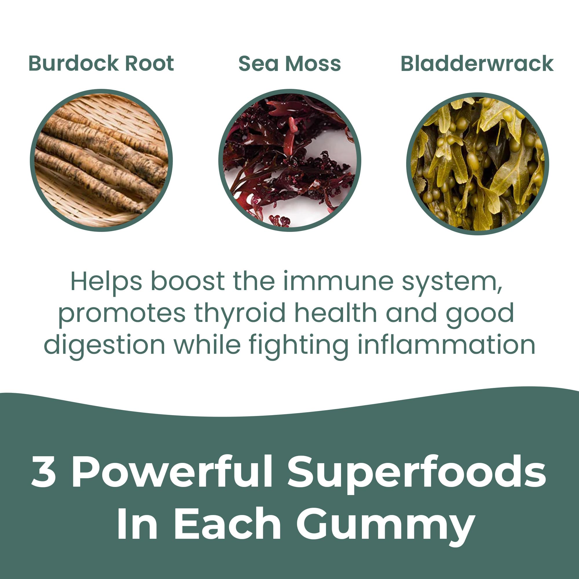 Lifestyle shot of INFINITE AGE Sea Moss Advanced Gummies in a healthy morning routine.